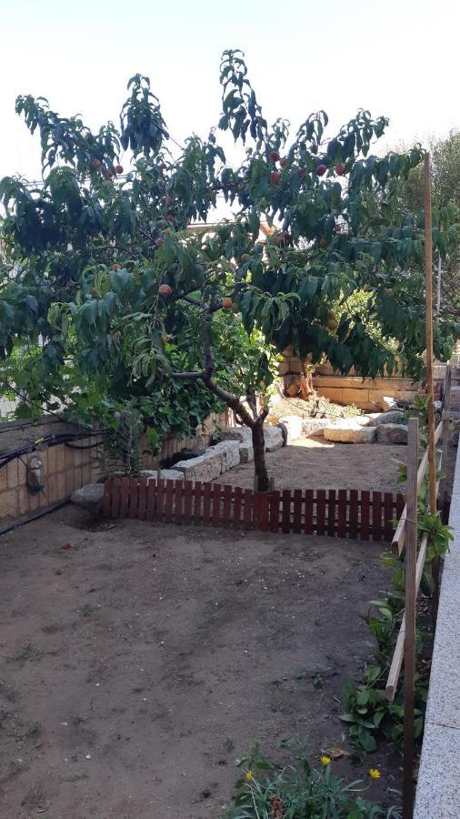 Appartamento Orticello Cala Gonone Zewnętrze zdjęcie